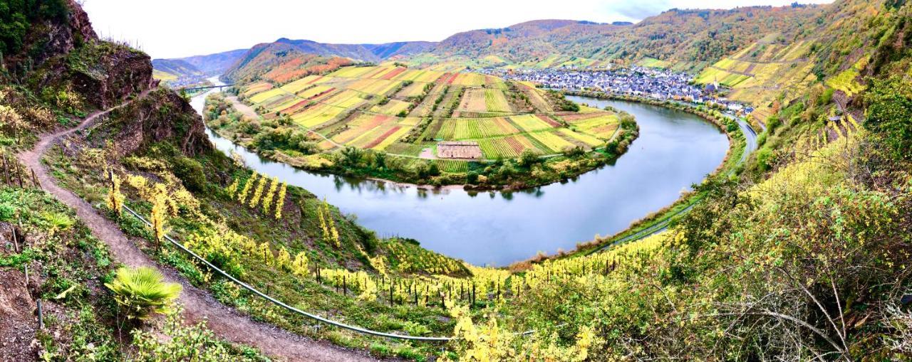 Haus Am Ufer Mit Rheinpanoramablick Lägenhet Koblenz  Exteriör bild