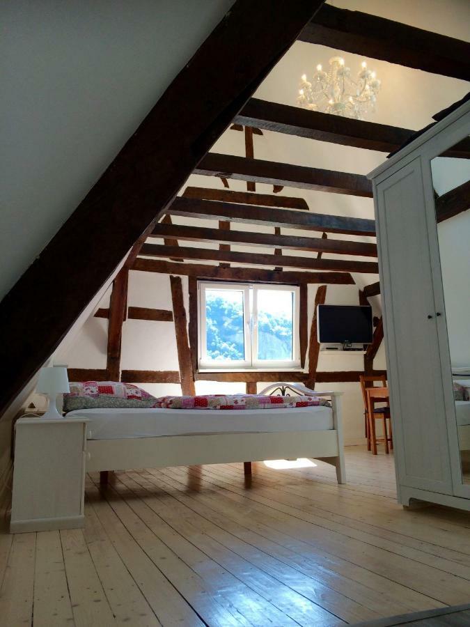 Haus Am Ufer Mit Rheinpanoramablick Lägenhet Koblenz  Exteriör bild